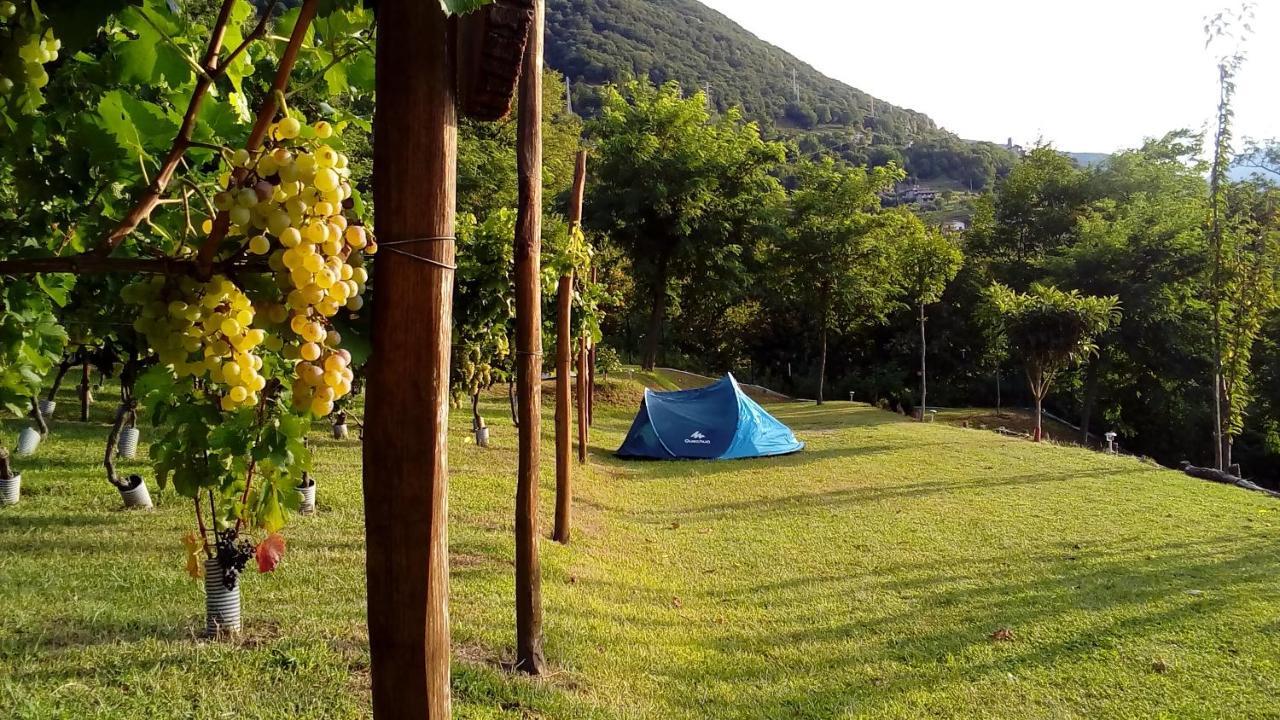 Camping Colle Vento Hotel Domaso Exterior foto